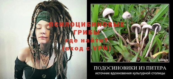 спиды Алзамай