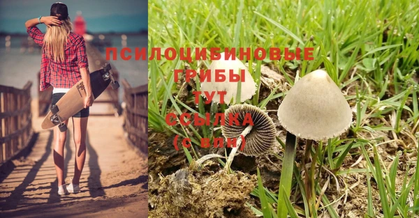 гашишное масло Алексин