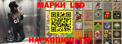 ГАЛЛЮЦИНОГЕННЫЕ ГРИБЫ Боровичи