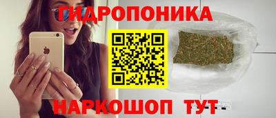 ГАЛЛЮЦИНОГЕННЫЕ ГРИБЫ Боровичи