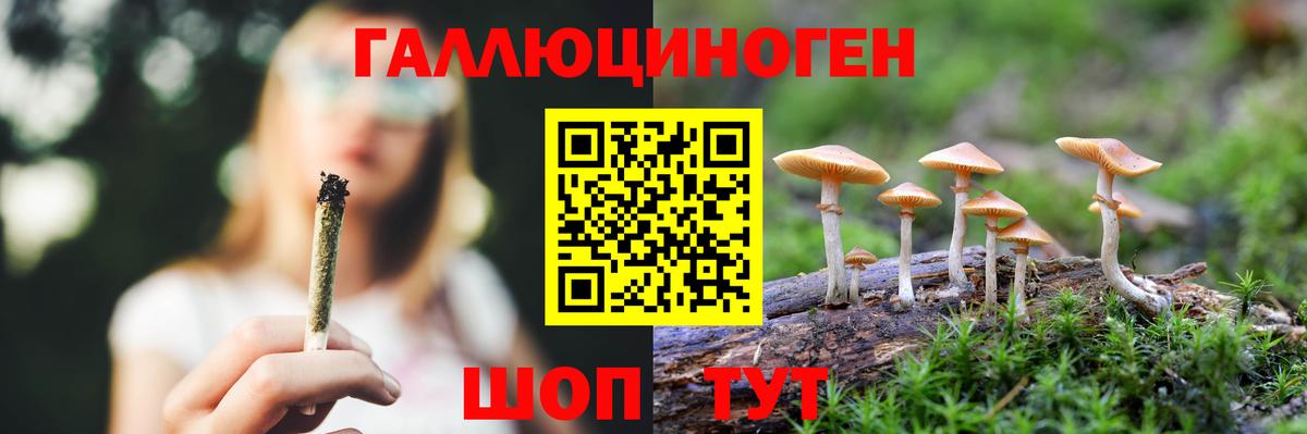 Галлюциногенные грибы ЛСД Петровск